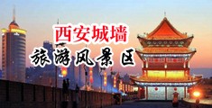 操死我的小骚逼啊啊啊啊啊啊啊好爽啊啊啊视频网站中国陕西-西安城墙旅游风景区