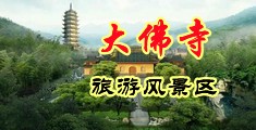 大鸡巴插逼逼的视频大全套中国浙江-新昌大佛寺旅游风景区
